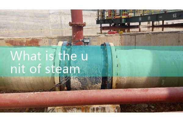 Steam flowmeter unit